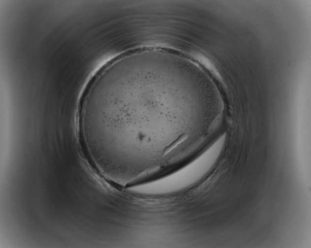 X0000087381076200704201241