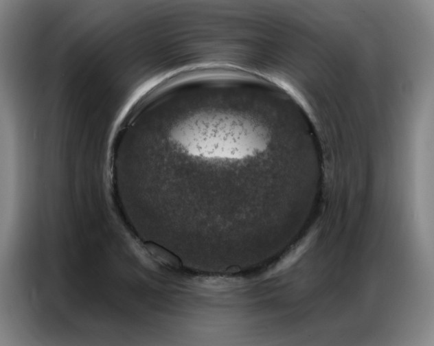 X0000087381077200704201241