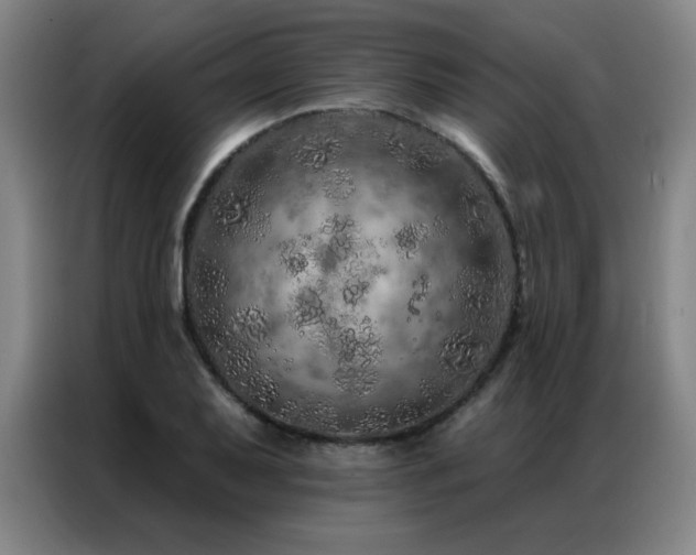 X0000087381079200704201241