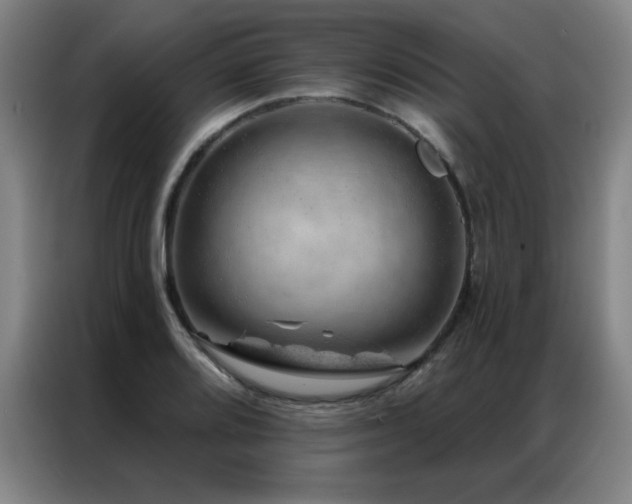 X0000087381080200704201241