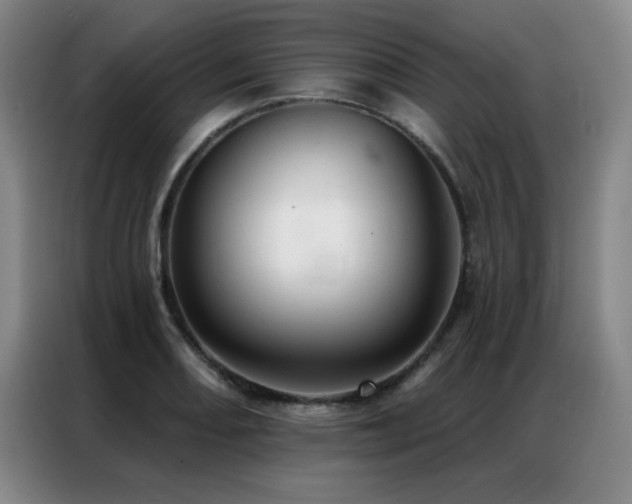 X0000087381082200704201241