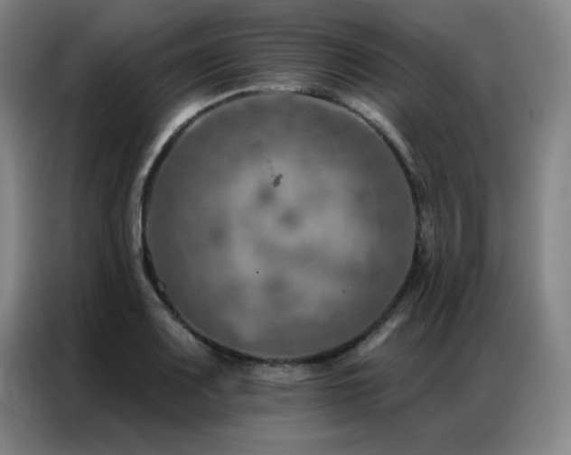 X0000087381083200704201241