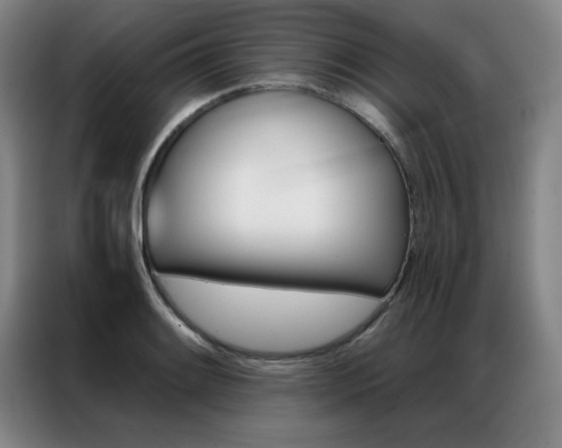 X0000087381084200704201241