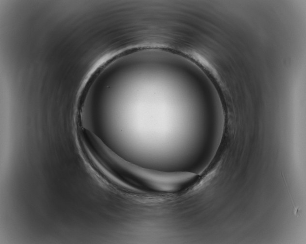 X0000087381085200704201241
