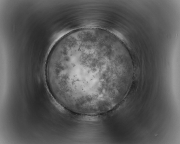 X0000087381086200704201241