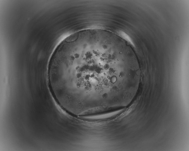 X0000087381087200704201241