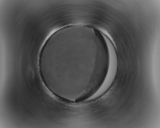 X0000087381091200704201241