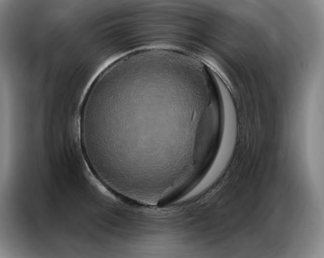 X0000087381092200704201241