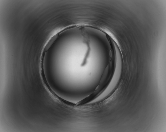 X0000087381093200704201241