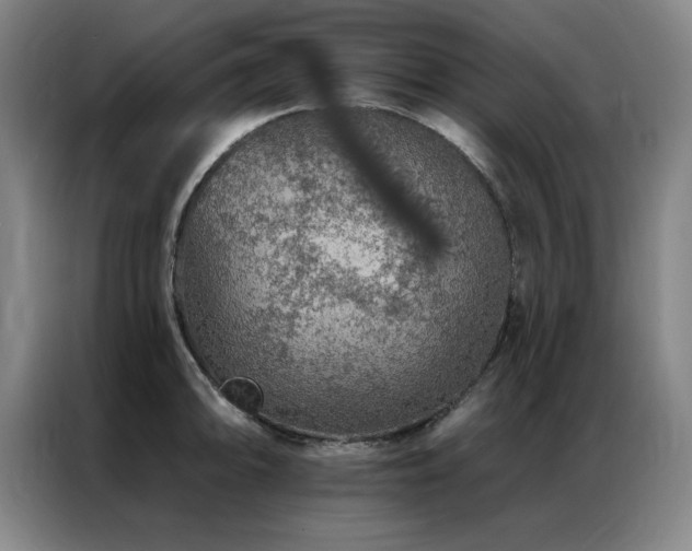 X0000087381094200704201241