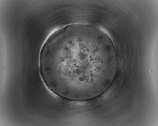 X0000087381095200704201241