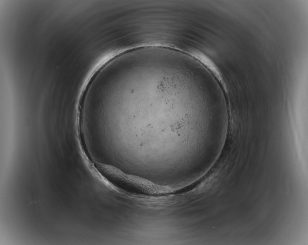 X0000087381096200704201241