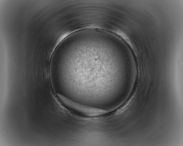 X0000087381097200704201241