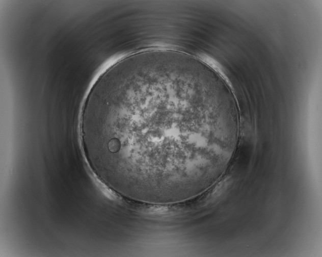 X0000087381098200704201241
