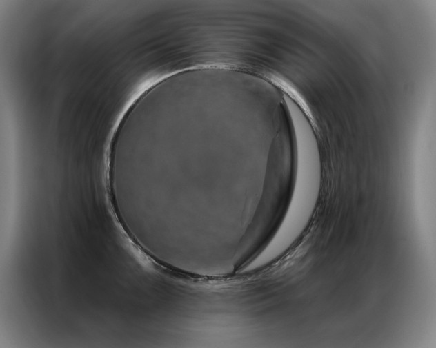 X0000087381099200704201241
