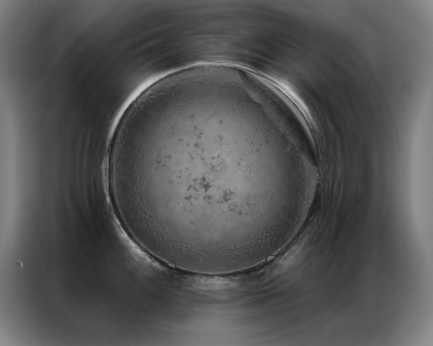 X0000087381100200704201241