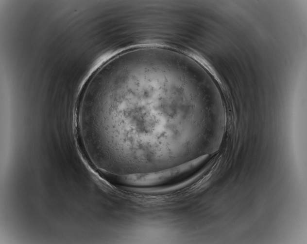 X0000087381101200704201241