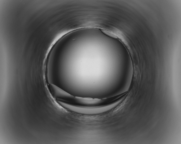 X0000087381102200704201241