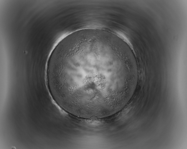 X0000087381103200704201241