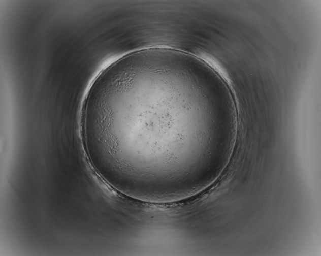 X0000087381104200704201241
