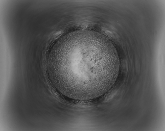 X0000087381105200704201240