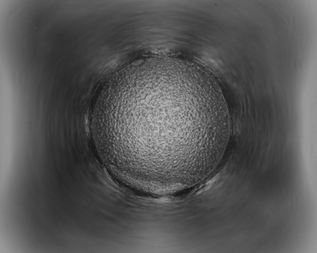 X0000087381106200704201240