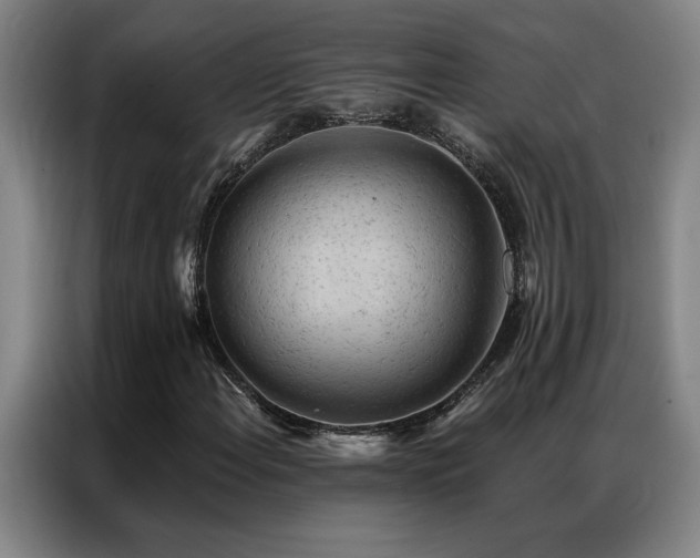 X0000087381108200704201240