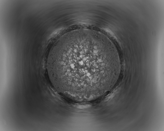 X0000087381110200704201240