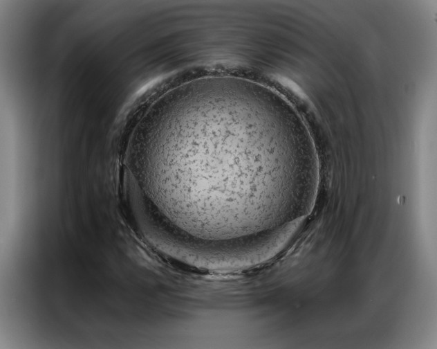 X0000087381112200704201240