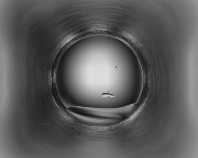 X0000087381113200704201240