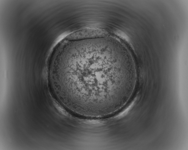 X0000087381114200704201240