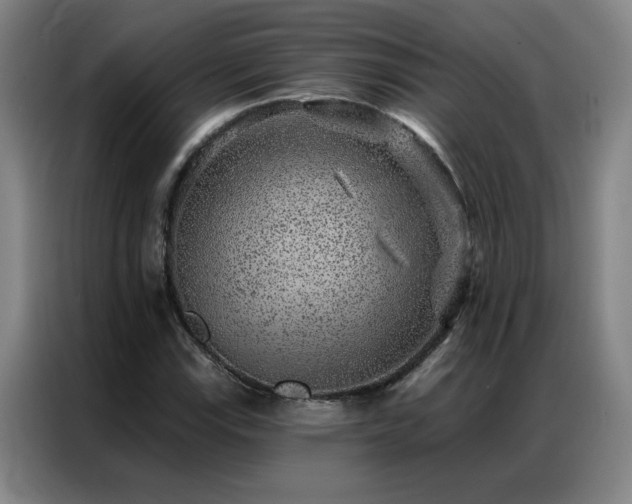 X0000087381115200704201240