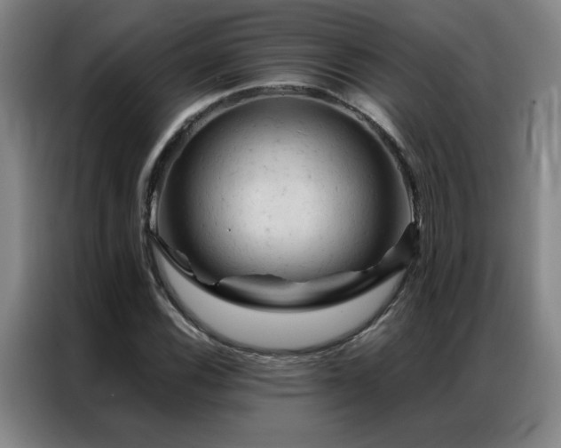 X0000087381116200704201240