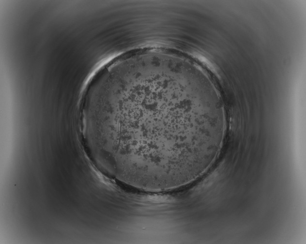 X0000087381117200704201240