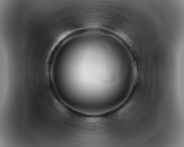 X0000087381118200704201240