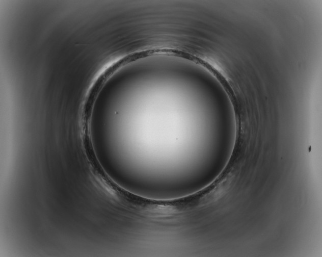 X0000087381119200704201240