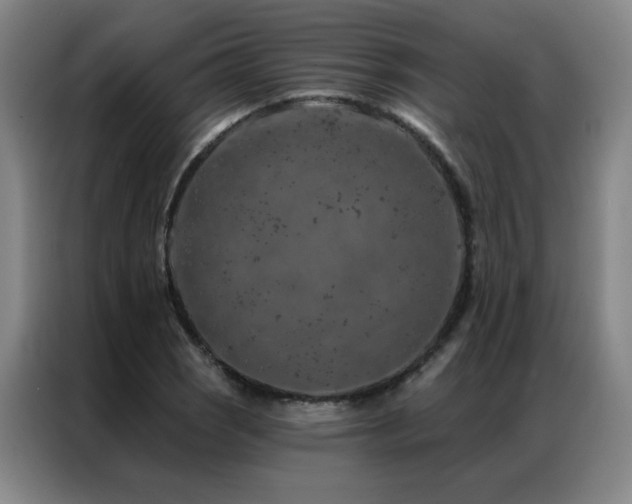 X0000087381121200704201240