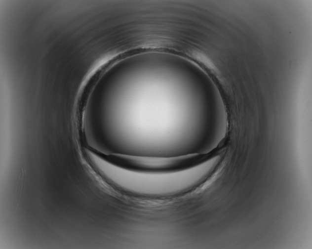 X0000087381122200704201240