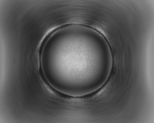 X0000087381123200704201241