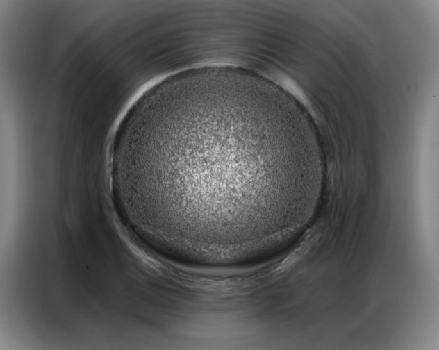 X0000087381124200704201241