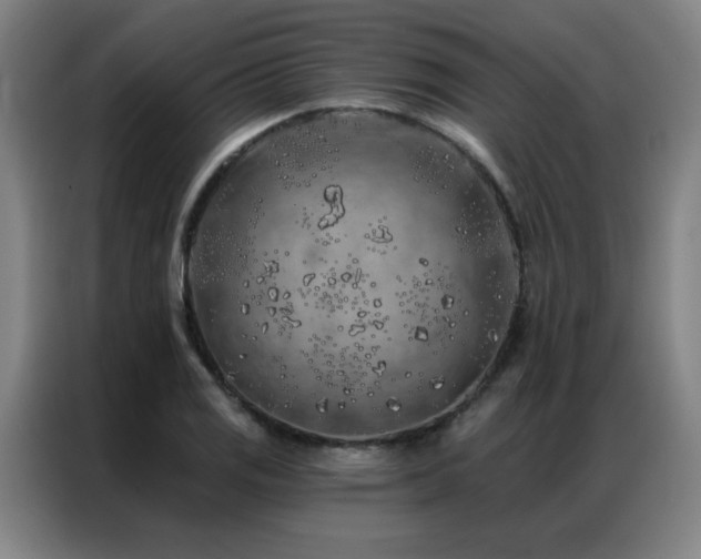X0000087381125200704201241