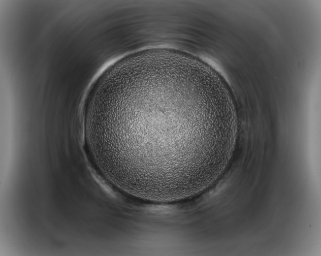 X0000087381127200704201241
