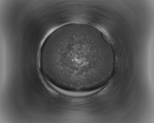 X0000087381128200704201241