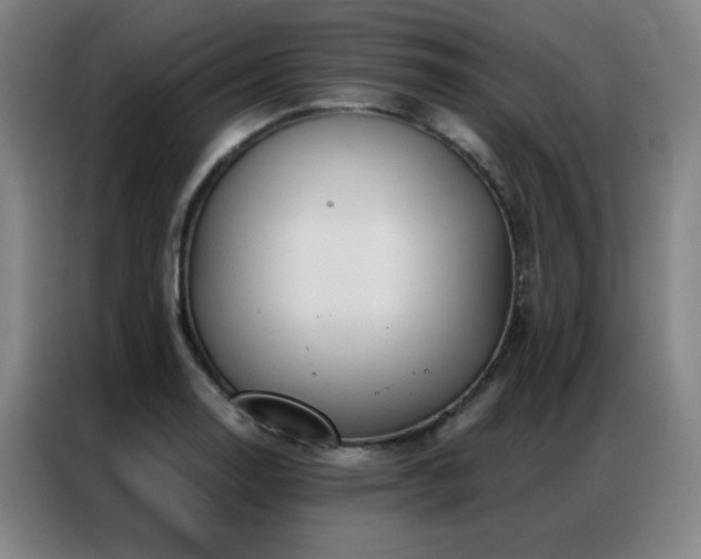 X0000087381130200704201241