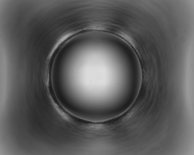X0000087381131200704201241