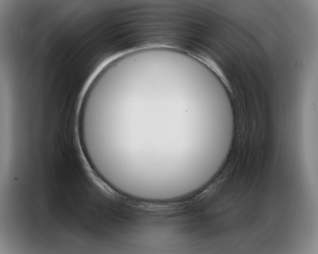 X0000087381132200704201241