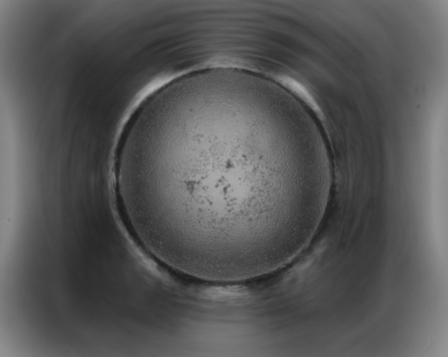 X0000087381133200704201241
