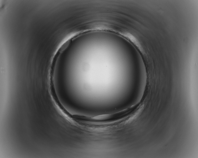 X0000087381134200704201241