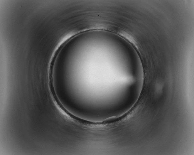 X0000087381135200704201241