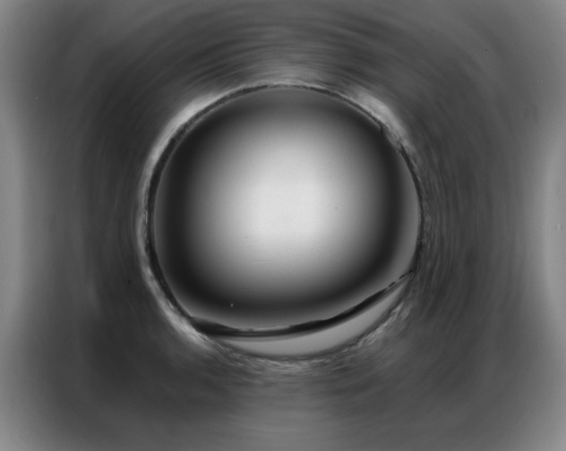 X0000087381136200704201241